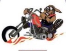 Easy Riders Syd